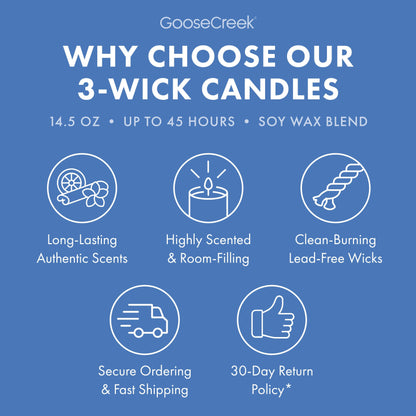 Cabana Crush 3-Wick Candle