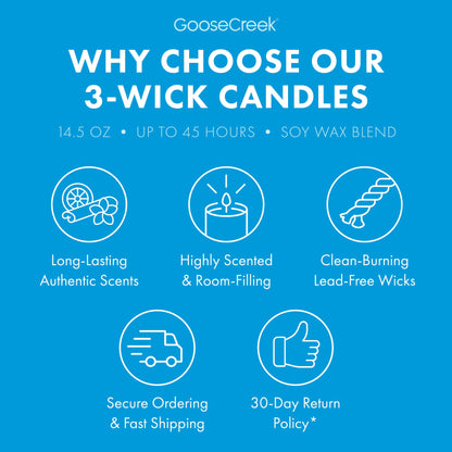 Girl Scout Trefoils™ 3-Wick Candle